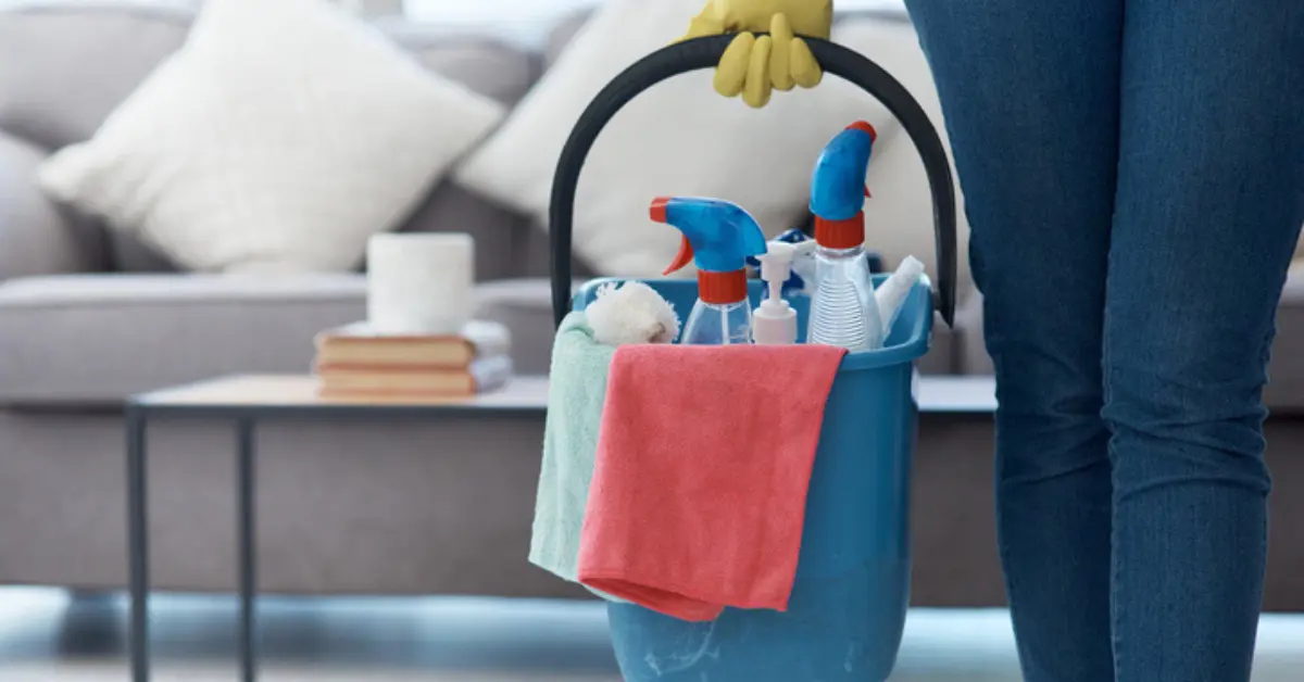 A bird with a nest in someone's house